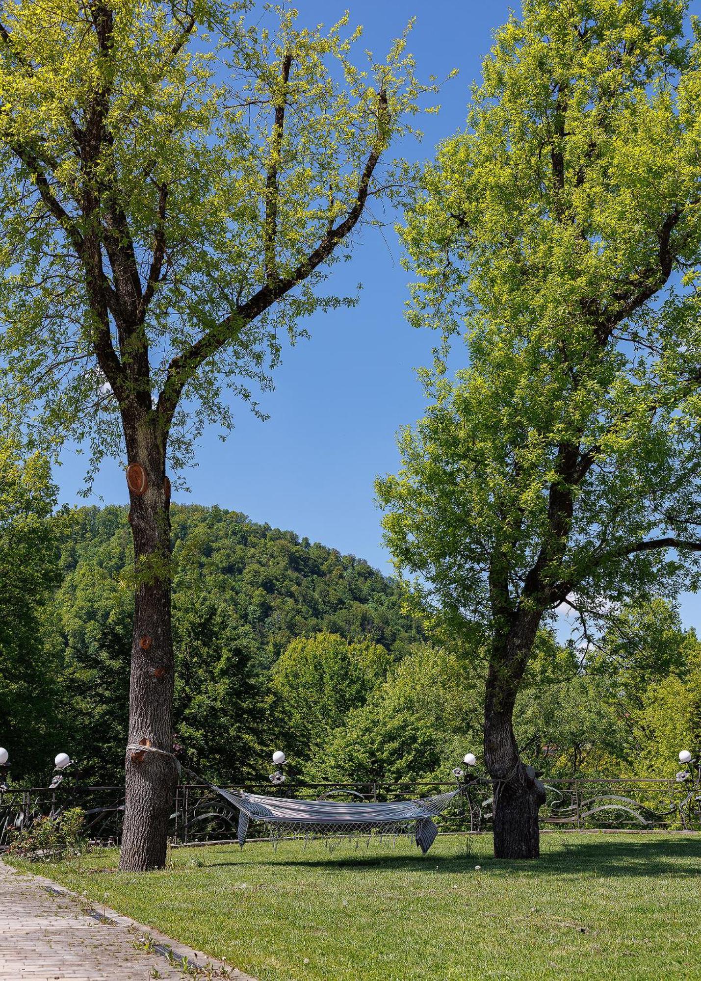 Molfar & карпати 5* 沙安